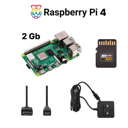 Kit Raspberry Pi Essential - Raspberry Pi 4 Model B 2 Go, Alimentation Officielle, Carte Micro SD 32 Go, Câbles HDMI